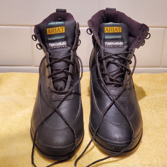 Ariat Shoes - Ariat Women's Waterproof Thinsulate Boots